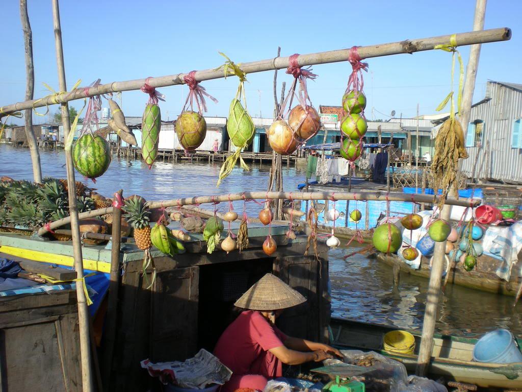 choCaiRang5.jpg