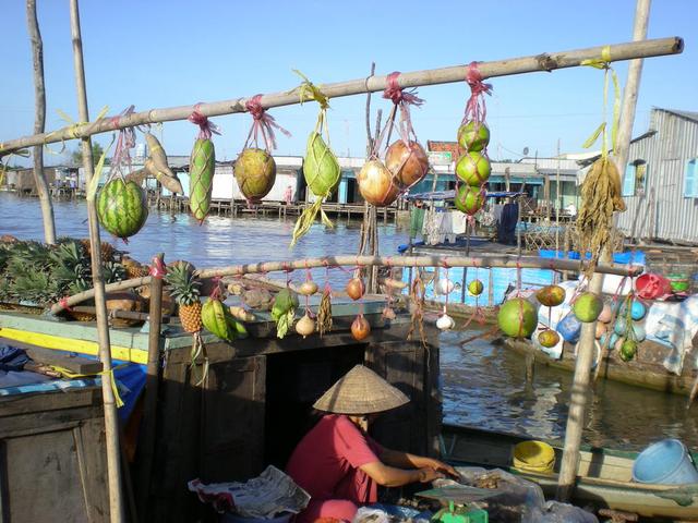 choCaiRang5.jpg
