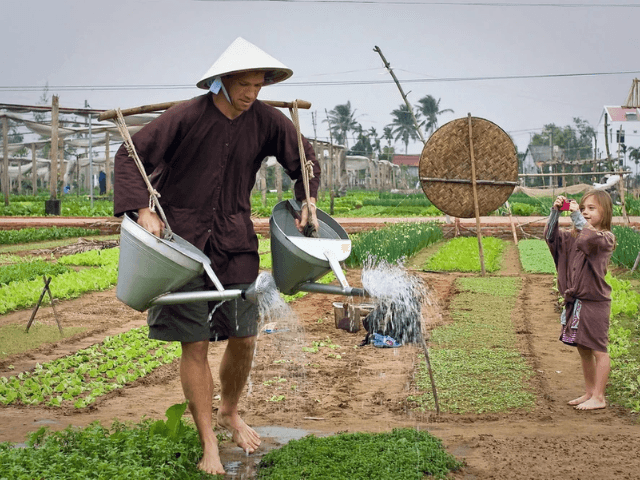 Eco vacanza di 12 giorni in Vietnam