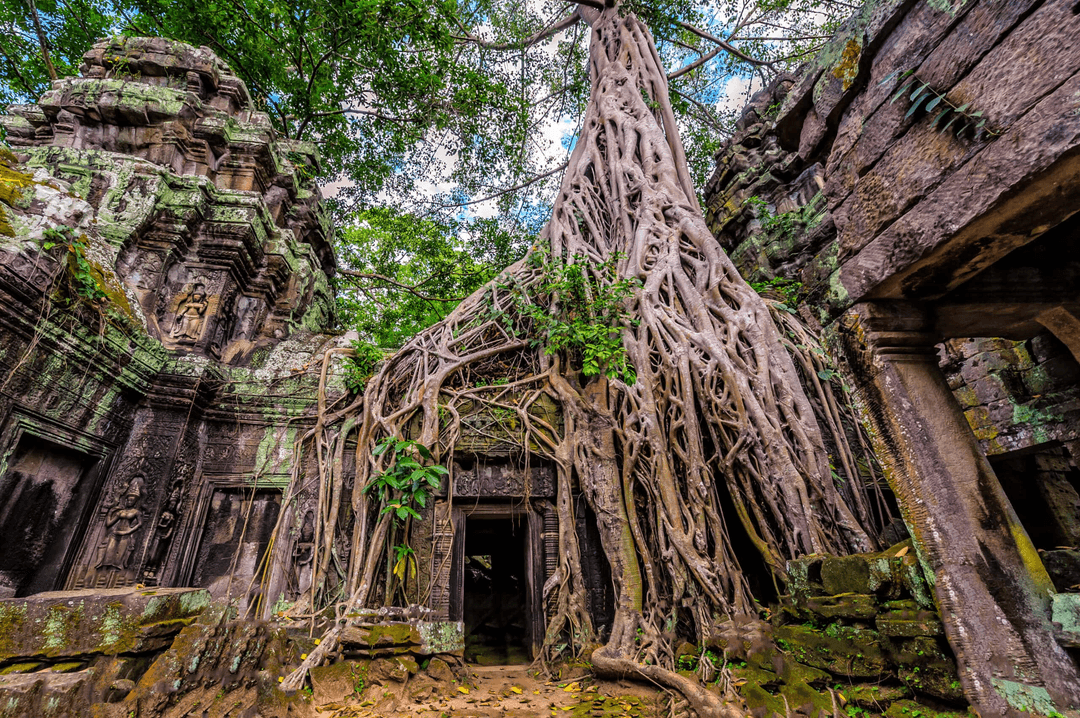 recommend-vietnam-1