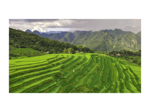Guida all'Ecoturismo di Pu Luong - Vivi la bellezza naturale del Vietnam